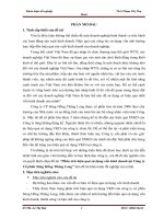 Phân tích hiệu quả sử dụng vốn kinh doanh tại Công ty Cổ phần Sông Hồng Thăng Long