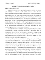 Truyền thông thương hiệu điện tử của công ty TNHH một thành viên HANEL