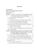 Luận văn tốt nghiệp: Giải pháp quản lý marketing nhằm phát triển thị phần sản phẩm khí oxy