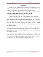 Phát triển xúc tiến thương mại cho sản phẩm tấm lợp sinh thái Onduline của công ty cổ phần thương mại và phát triển Hà Nội mới DHP