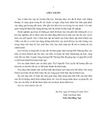 Giải pháp marketing phát triển thị trường khách du lịch nội địa của khách sạn Eden tập đoàn VHG