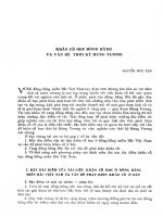 Khảo cổ học đồng bằng và vấn đề thời kỳ Hùng Vương