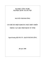 Cơ chế dẫn điện khoảng nhảy biến thiên trong vật liệu perovskite từ tính