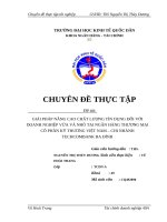 Giải pháp nâng cao chất lượng tín dụng đối với doanh nghiệp vừa và nhỏ tại Ngân hàng thương mại cổ phần Kỹ thương Việt Nam – Chi nhánh Techcombank Ba Đình
