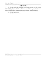 kế toán kết quả kinh doanh tại công ty cổ phần đầu tư  Sao Đất Việt