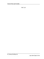 Đầu tư trực tiếp nước ngoài tại tỉnh Lào Cai Thực trạng và giải pháp