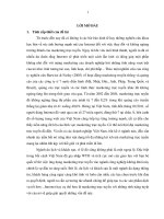 Đẩy mạnh ứng dụng marketing trực tuyến nhằm thu hút khách du lịch quốc tế tại hệ thống khách sạn ở Thành phố Hồ Chí Minh