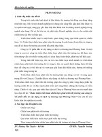 Hoàn thiện triển khai chiến lược phát triển thị trường của công ty Cổ phần đầu tư xây dựng và dịch vụ thương mại Phương Nam