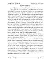 Kế toán kết quả kinh doanh tại Công ty TNHH Đầu tư và phát triển Gỗ việt