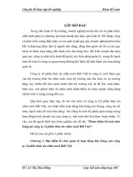 Hoàn thiện kế toán bán hàng tại công ty cổ phần thức ăn chăn nuôi Đất Việt