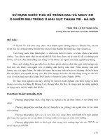 Sử dụng nước thải để trồng rau và nguy cơ ô nhiễm ra trồng ở khu vực Thanh Trì - Hà Nội