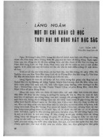 Lãng Ngâm một di chỉ khảo cổ học thời đại đồ đồng rất đắc sắc