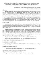 Đánh giá hình ảnh tổn thương động mạch vành qua chụp mạch xoá nền tại Bệnh viện Đa khoa tỉnh Quảng Nam