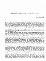 Chứng minh thời Hùng Vương là có thật