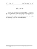 Các giải pháp nâng cao hiệu quả hoạt động thanh toán hàng nhập  theo phương thức tín dụng chứng  tại  SGD Vietcombank