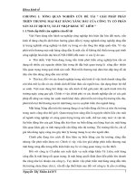 Giải pháp phát triển thương mại mặt hàng xăng dầu của công ty cổ phần sản xuất dịch vụ xuất nhập khẩu Từ Liêm