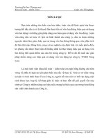 Một số giải pháp nâng cao hiệu quả sử dụng Vốn lưu động của công ty TNHH Tùng Lâm