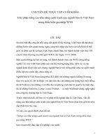 Giải pháp nâng cao khả năng cạnh tranh của ngành bán lẻ Việt Nam trong điều kiện gia nhập WTO