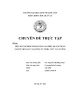 Một số giải pháp nhằm nâng cao hiệu quả sử dụng nguồn nhân lực tại công ty TNHH - MTV Vạn Tường