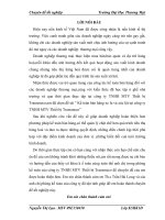 Kế toán bán mặt hàng xe lu và xúc lật tại công ty TNHH MTV Thiết bị Transmeco- Thực trạng và giải pháp