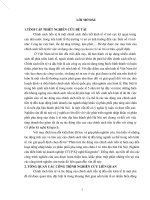Phân tích tác động của chính sách tiền tệ hiện nay đến hoạt động nhập khẩu và phân phối phụ tùng sửa chữa ô tô trên địa bàn Hà Nội (Nghiên cứu điển hình tại doanh nghiệp CTCP Kỹ nghệ Kingtech)