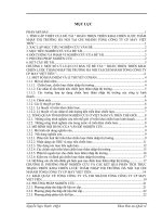 HOÀN THIỆN TRIỂN KHAI CHIẾN LƯỢC THÂM NHẬP THỊ TRƯỜNG HÀ NỘI TẠI CHI NHÁNH TỔNG CÔNG TY CP MAY VIỆT TIẾN