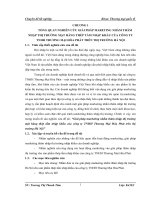 Giải pháp marketing nhằm thâm nhập thị trường mặt hàng thép tấm nhập khẩu của công ty TNHH Thương Mại Hòa Phát trên thị trường Hà Nội