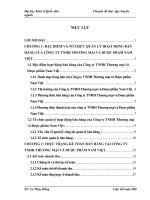 Hoàn thiện kế toán bán hàng tại công ty TNHH Thương mại và Dược phẩm Nam Việt