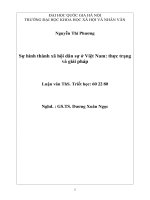 Sự hình thành xã hội dân sự ở Việt Nam thực trạng và giải pháp