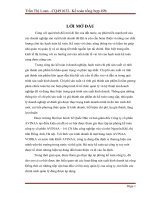 Hoàn thiện kế toán chi phí sản xuất và tính giá thành sản phẩm tại công ty cổ phần AVINAA