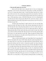 Phát triển thương mại sản phẩm bóng đèn tiết kiệm điện năng của Công ty cổ phần bóng đèn phích nước Rạng Đông