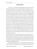 Một số giải pháp nhằm nâng cao hiệu quả sử dụng vốn tại Công ty TNHH một thành viên Sông Mã