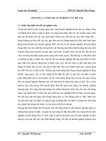 Kế toán bán hàng vật tư thiết bị điện tại công ty Cổ phần chế tạo biến thế và vật liệu điện Hà Nội.DOC