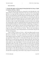 Giải pháp quảng bá thương hiệu điện tử tại Công ty cổ phần tư vấn giáo dục Việt Nam – EduViet