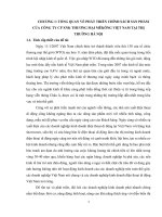 Phát triển chính sách sản phẩm của công ty CP XNK Thương Mại Mêkông Việt Nam tại thị trường Hà Nội