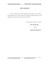 Đầu tư trực tiếp nước ngoài vào phát triển kinh tế - xã hội tỉnh Vĩnh Phúc