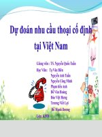 Dự đoán nhu cầu thoại cố định tại việt nam
