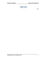 Quản lý sử dụng vốn lưu động tại Công ty cổ phần Dịch An Dân