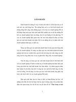 thực trạng và một số giải pháp nâng cao hiệu quả hoạt động kinh doanh của công ty dịch vụ hàng không sân bay