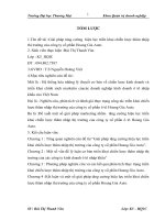 Giải pháp tăng cường hiệu lực triển khai chiến lược thâm nhập thị trường của công ty Hoang Gia Auto