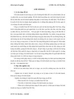 Hiệu quả sử dụng vốn kinh doanh của Công ty cổ phần Nam Hà Việt – Chi nhánh Hà Nội