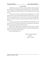 Hoàn thiện chương trình xúc tiến trực tuyến của công ty TNHH Niềm Tin