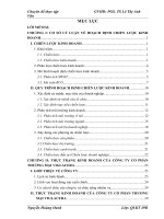 Hoạch định chiến lược kinh doanh của Công ty Cổ phần Thương mại Viglacera giai đoạn 2011-2015