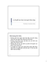 Bài giảng Lý thuyết lựa chọn của người tiêu dùng