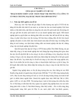 Hoạch định chiến lược thâm nhập thị trường của Công ty CPTM dược phẩm Thái Bình Dương