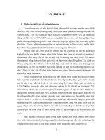 Phát triển thương mại nông thôn trên địa bàn huyện Thiệu Hóa, tỉnh Thanh Hóa trong giai đoạn hiện nay