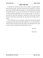 Thực trạng và các giải pháp nâng cao hiệu quả kinh doanh của Công ty TNHH Kỳ Nghỉ Việt.