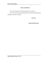 Giải pháp quản trị rủi ro tín dụng trong hoạt động kinh doanh của Ngân hàng TMCP Công thương Việt Nam - chí nhánh Hà Tĩnh