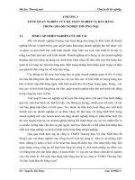 Kế toán bán mặt hàng bao bì tại công ty TNHHTM&SX Bao Bì Sông Lam