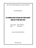 Thị trường quyền sử dụng đất nông nghiệp hiện nay ở Tỉnh Vĩnh Phúc